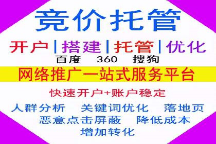 案例分析：SEM托管服务助力电商销量倍增